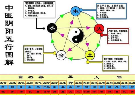 金融五行属什么|命理五行对应的行业类别大全（必须收藏）